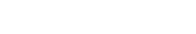 SonicFlow Logo